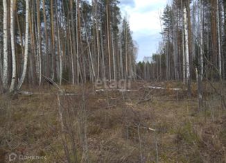 Участок на продажу, 19.1 сот., село Кунгурка