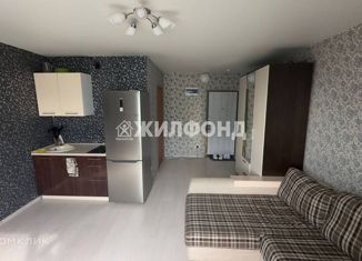 Продается квартира студия, 25 м2, Кемерово, улица Дегтярёва, 3, ЖК Северная Звезда