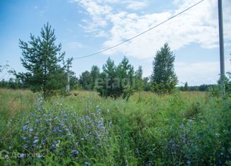 Продается земельный участок, 15 сот., село Морозово