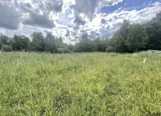 Продажа участка, 65 сот., деревня Сигорь, Луговая улица