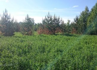 Продаю участок, 1900 сот., деревня Кисельня