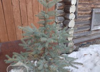 Продажа дома, 25 м2, Казань, Вахитовский район