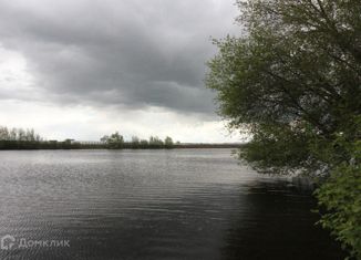 Продам дом, 160 м2, деревня Заболотье, Центральная улица, 67