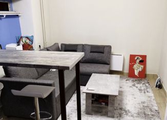 Продается квартира студия, 19.6 м2, Москва, Рябиновая улица, 45к2, район Очаково-Матвеевское