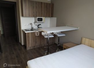 Квартира на продажу студия, 21.3 м2, Санкт-Петербург, Политехническая улица, 6, метро Площадь Мужества