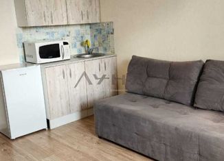 Квартира на продажу студия, 16.9 м2, Набережные Челны, проспект Вахитова, 17