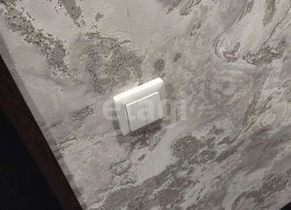 Продажа квартиры студии, 18 м2, Новоалтайск, Вагоностроительная улица, 32