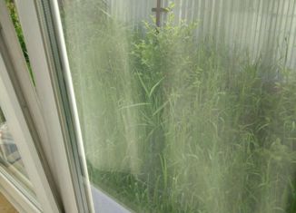 Продается дом, 57 м2, Новосибирск, Первомайский район