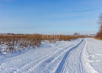 Продаю участок, 753.1 сот., СНТ Рябинка