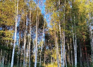 Участок на продажу, 11 сот., деревня Крева