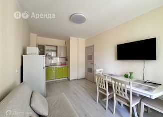 Сдаю в аренду 1-комнатную квартиру, 31 м2, Санкт-Петербург, улица Генерала Кравченко, 3к2, муниципальный округ Сосновая Поляна