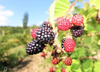 Продаю участок, 300 сот., поселок городского типа Зуя