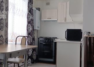 Продается 2-ком. квартира, 44 м2, село Чернолесовский, улица Мира, 8