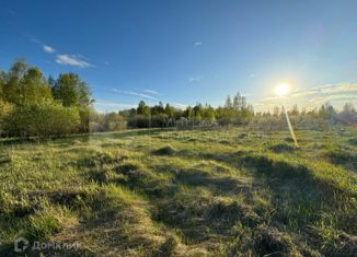 Продажа земельного участка, 11.4 сот., село Борки