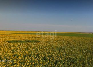 Продам земельный участок, 9.75 сот., Уютненское сельское поселение