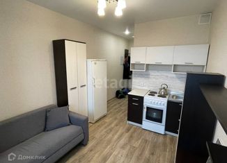 Сдача в аренду квартиры студии, 19.1 м2, деревня Афонино, улица Красная Поляна, 2