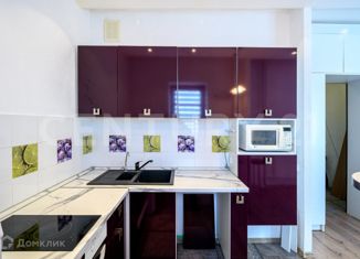 Продаю квартиру студию, 26.3 м2, Санкт-Петербург, Выборгское шоссе, 35к1, Выборгское шоссе