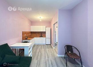 Аренда 1-ком. квартиры, 36 м2, посёлок Парголово, Михайловская дорога, 16к3