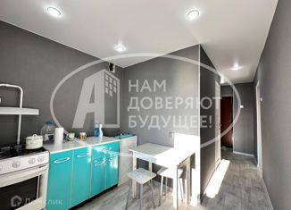 Однокомнатная квартира на продажу, 33 м2, Кунгур, улица Ильина, 24