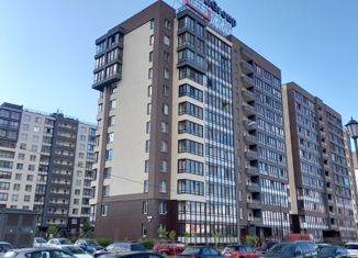 Продается квартира студия, 24.2 м2, Санкт-Петербург, проспект Ветеранов, 169к1, Красносельский район