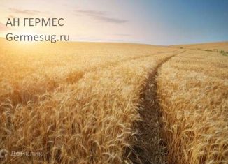 Продаю участок, 220 сот., поселок Нижнеподкумский, Казачья улица, 8