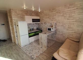 Продается квартира студия, 26 м2, Кемерово, ЖК Кузнецкий, Пролетарская улица, 29/1