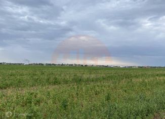 Продаю земельный участок, 50 сот., село Михайловка
