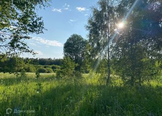 Земельный участок на продажу, 835 сот., деревня Старо