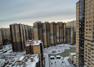 2-комнатная квартира на продажу, 55.9 м2, Кудрово, Областная улица, 5к1, ЖК Новый Оккервиль