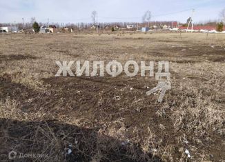 Продам участок, 25 сот., посёлок Октябрьский, Октябрьская улица