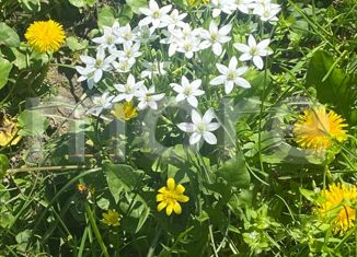 Продам участок, 5.52 сот., станица Кисляковская, Красная улица