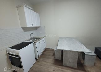 Аренда квартиры студии, 20 м2, Москва, Амурская улица, 1Ак5, ЖК Левел Амурская