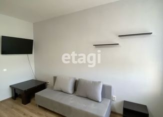 Сдаю квартиру студию, 26 м2, деревня Аро, Чудесная улица, 4