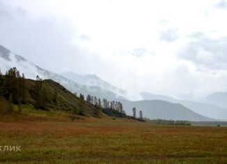 Продам участок, 1229 сот., село Усть-Кокса