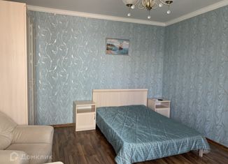 Сдача в аренду 1-комнатной квартиры, 50 м2, Нижегородская область, Большая Покровская улица, 93