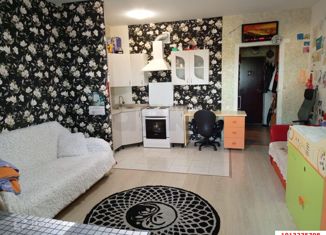 Продам квартиру студию, 27.9 м2, посёлок Берёзовый, Декоративная улица, 1/5к2