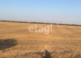 Продажа земельного участка, 6 сот., Ромашкинское сельское поселение