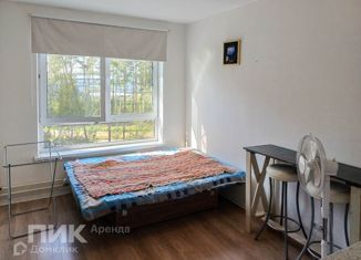 Сдам в аренду квартиру студию, 19.8 м2, Санкт-Петербург, Орлово-Денисовский проспект, 19к1, Приморский район