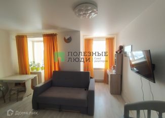 Продается квартира студия, 26.2 м2, деревня Хохряки, Муромская улица, 1Б