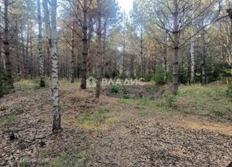 Продаю земельный участок, 8 сот., деревня Мужачи