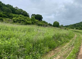 Земельный участок на продажу, 25 сот., село Анисимовка