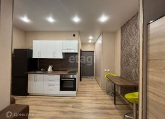 Сдаю в аренду квартиру студию, 28 м2, Новосибирск, Прибрежная улица, 6, Железнодорожный район