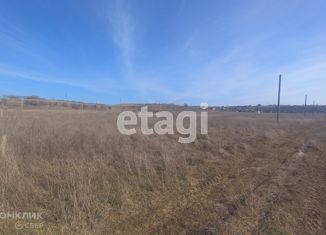 Участок на продажу, 10.6 сот., село Лекарственное, улица Мира, 67