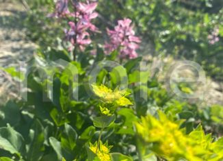 Продам участок, 5.47 сот., станица Кисляковская, Красная улица