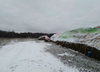 Продажа земельного участка, 800 сот., деревня Мельгуново, 28Н-0741
