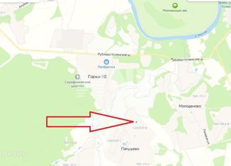 Продаю земельный участок, 40 сот., деревня Папушево