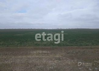 Земельный участок на продажу, 1000 сот., село Фрунзе, площадь имени М.К. Дорохина