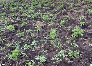 Продается участок, 6 сот., коттеджный поселок Есаулово Сити, улица Авеню 5