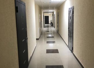 Продается квартира студия, 22 м2, Ростов-на-Дону, Горсоветская улица, 49/1, ЖК Свобода