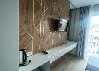 Продам квартиру студию, 24 м2, Сочи, Главная улица, 17/30